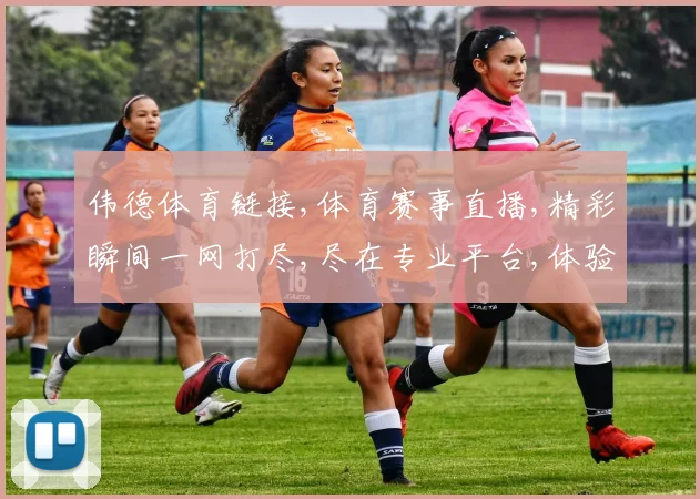 伟德体育链接,体育赛事直播,精彩瞬间一网打尽,尽在专业平台,体验非凡