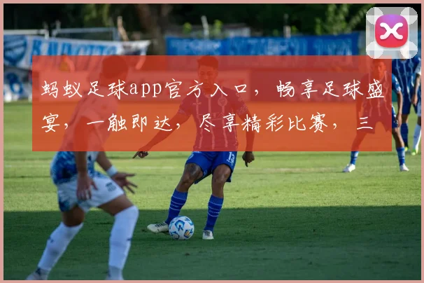 蚂蚁足球app官方入口，畅享足球盛宴，一触即达，尽享精彩比赛，三步即可登录，体验非凡