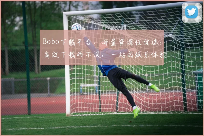 Bobo下载平台，海量资源任你选，高效下载两不误，一站式娱乐体验，必看攻略