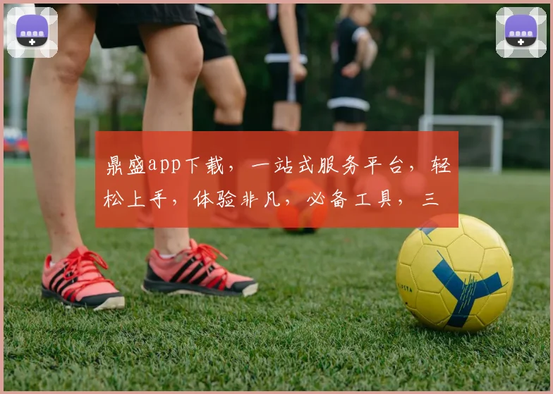 鼎盛app下载，一站式服务平台，轻松上手，体验非凡，必备工具，三步安装