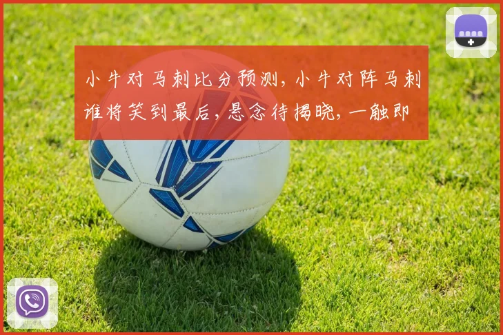 小牛对马刺比分预测,小牛对阵马刺谁将笑到最后,悬念待揭晓,一触即发